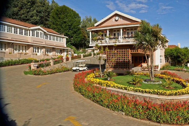 blog image